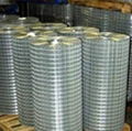 Welded Galvanized wire mesh  2