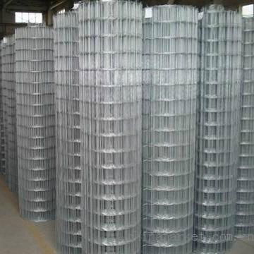 Welded Galvanized wire mesh  3