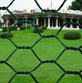 hexagonal wire mesh