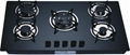 build-in gas hob 1