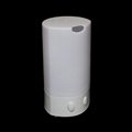 Air Humidifier Mold