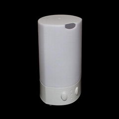 Air Humidifier Mold