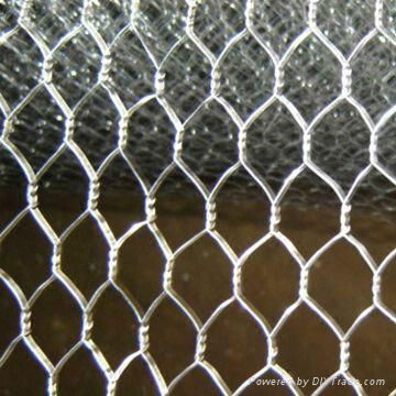 Hexagonal wire mesh