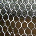 Hexagonal wire mesh 1