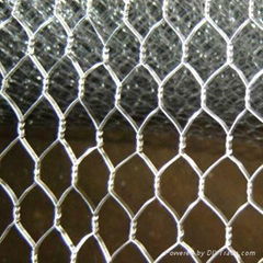 Hexagonal wire mesh