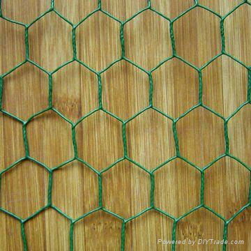 Hexagonal wire mesh 2