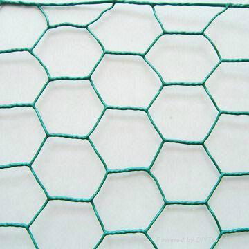 Hexagonal wire mesh 3