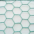 Hexagonal wire mesh 3