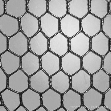 Hexagonal wire mesh 4