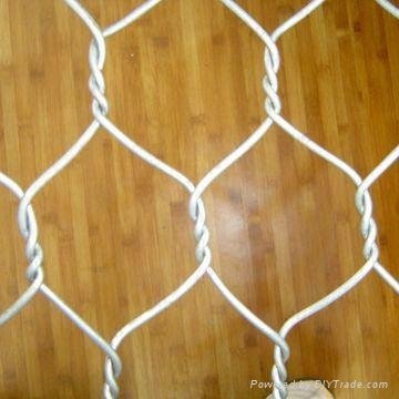 Hexagonal wire mesh 5