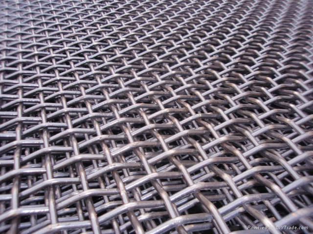 Crimpped wire mesh 5