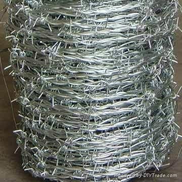 Barbed  Wire 2