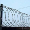 Razor Barbed Wire mesh 1