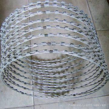 Razor Barbed Wire mesh 3