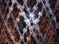 Razor Barbed Wire mesh 4