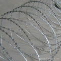 Razor Barbed Wire mesh 5