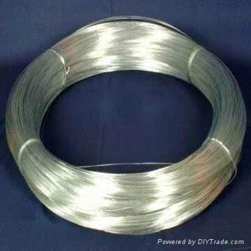 Galvanized Iron Wire