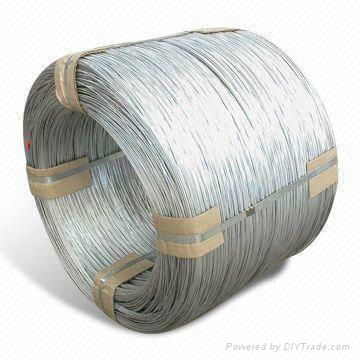 Galvanized Iron Wire 3