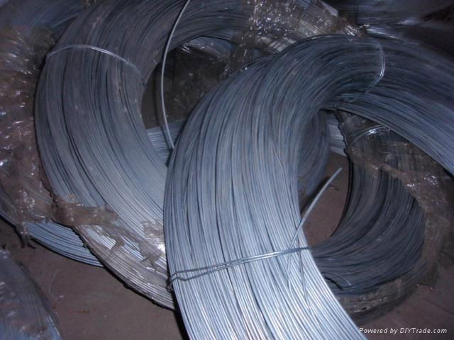 Galvanized Iron Wire 4