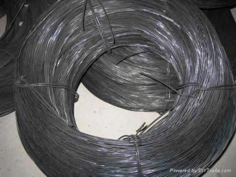 Black Annealed Wire 