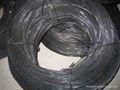 Black Annealed Wire 