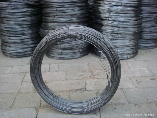 Black Annealed Wire  3