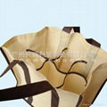 Non woven wine bag 1