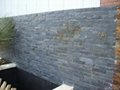 Wall Slate Stone 3