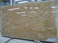 India polished granite slab