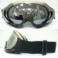 snow goggles 1