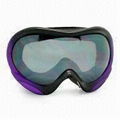 ski goggles 1