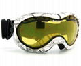 ski goggles