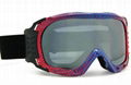 ski goggles 1