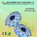 Led 软灯条 1