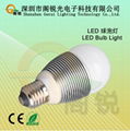 3W Led Bulb Light