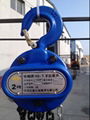 HS-T CHIAN HOIST