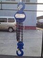 HS-T chain hoist