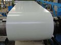 Pre-painted galvanized steel coil