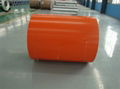 Pre-painted galvanized steel coil 2