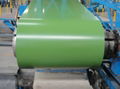 Pre-painted galvanized steel coil 3