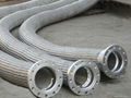 metal hoses 3