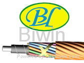 Layer stranding optical fiber cable by blowing (PA)