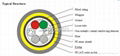 All Dielectric Self-supporting Optical Cable 1