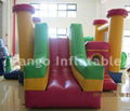 inflatable bouncer and slide 2