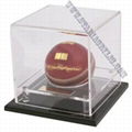 Perspex Cricket Ball Display Case 1