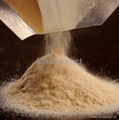 Sell dried malt extract(DME)