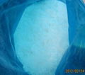 polyvinyl acetate (pvac) powder 1