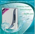 Drinking Water Purifier by Ozone