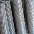 high quality welded wire mesh