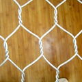 hexagonal wire mesh/chicken wire mesh 2